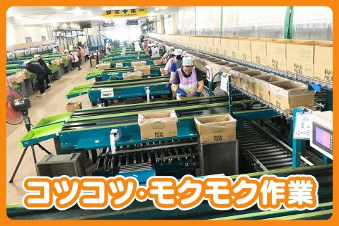 熊本県農業協同組合中央会のアルバイト・バイト求人情報