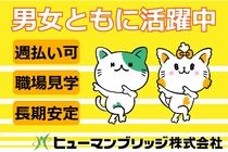 ヒューマンブリッジ株式会社