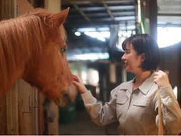 お馬さんの安全確保