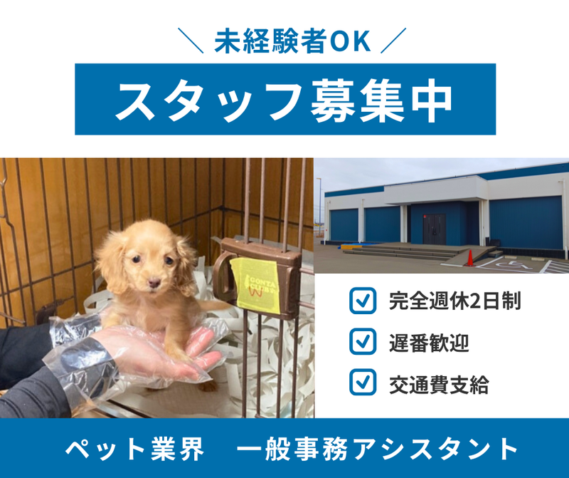 株式会社ベッツリンクの求人・転職情報