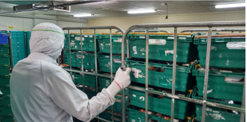 株式会社北燦食品のアルバイト・バイト求人情報-15