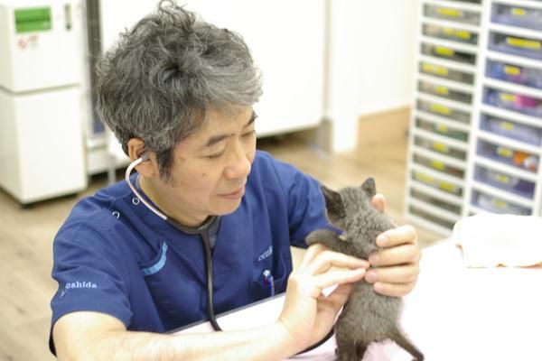 合同会社よしだ動物病院のアルバイト・バイト求人情報-04