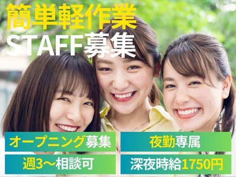 ライクスタッフィング株式会社