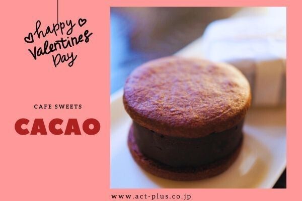 株式会社アクトプラスの派遣求人情報