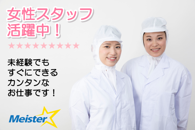 株式会社マイ・スターの求人・転職情報