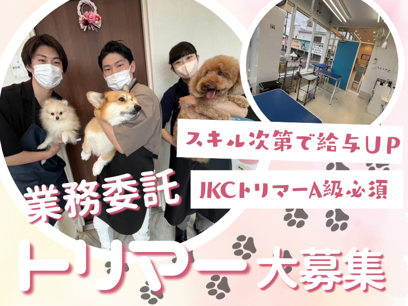 モリヤ動物病院の求人・転職情報