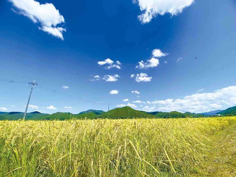 Pro Antiques 古夢 本店 (プロ アンティークス コム)のアルバイト・バイト求人情報-05