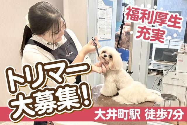 株式会社AHBの求人・転職情報