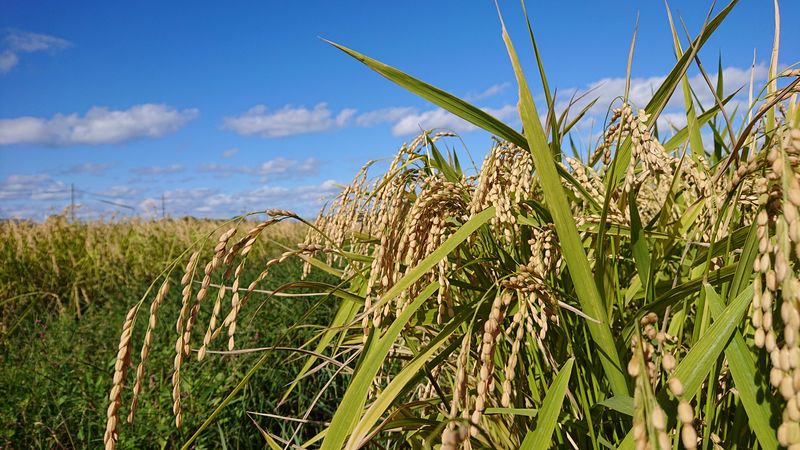 株式会社エイチアグリの求人・転職情報