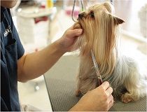 株式会社ホンマの求人・転職情報