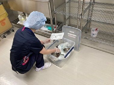 パラテクノ株式会社 慶應義塾大学予防医療センターのアルバイト・バイト求人情報-05