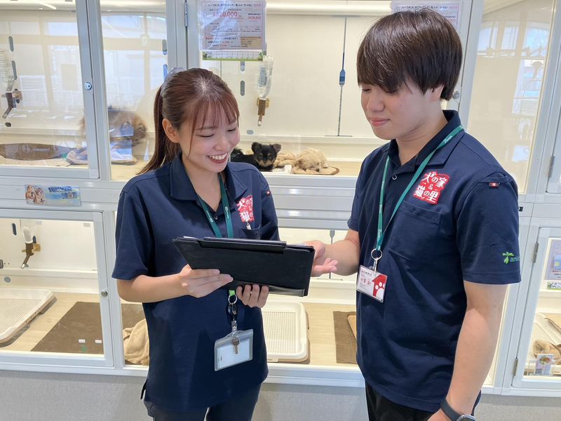 犬の家　金沢店(株式会社犬の家)のアルバイト・バイト求人情報-03