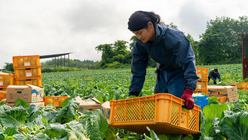 株式会社ベジコープのアルバイト・バイト求人情報-02