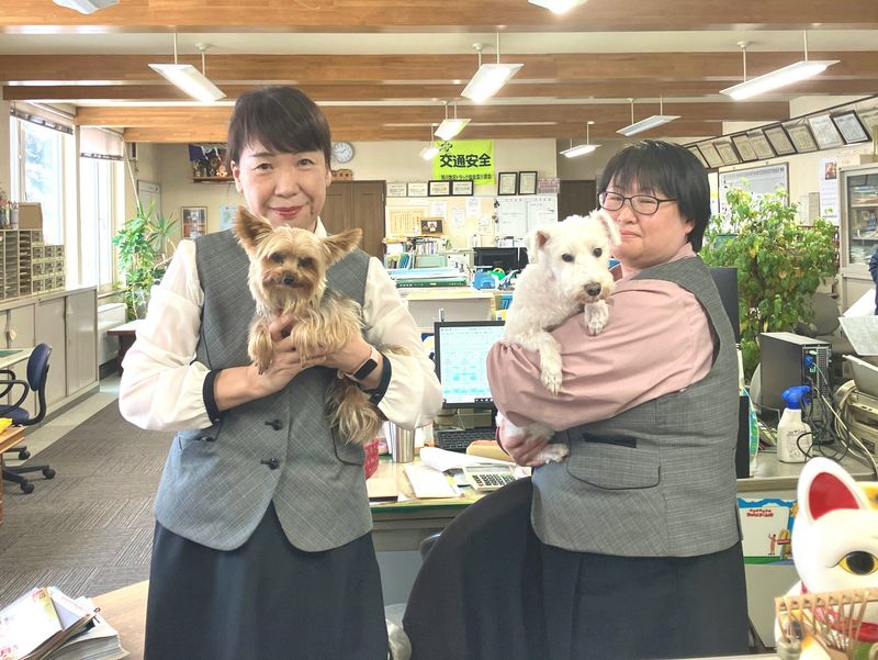 株式会社宮本運輸 北海道トナミ運輸グループのアルバイト・バイト求人情報-02
