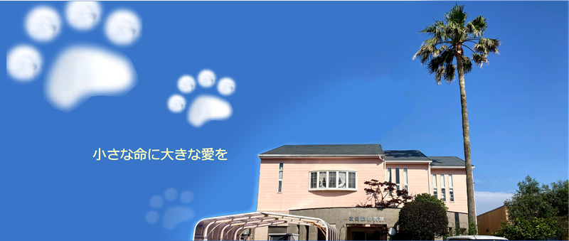 有限会社政岡動物医療センターの求人・転職情報