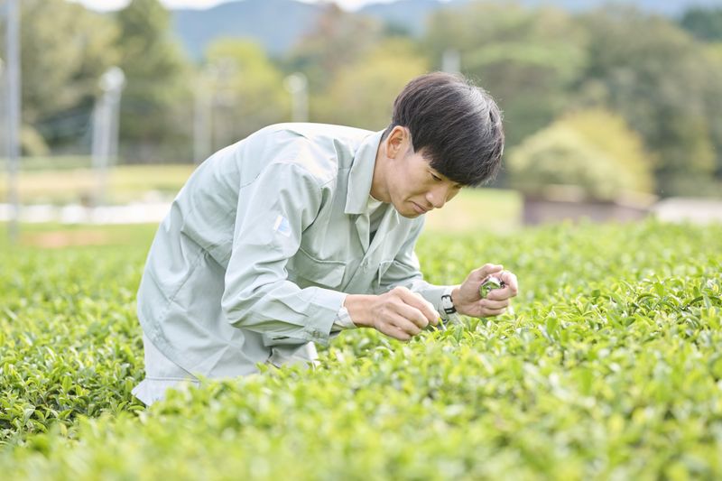 奈良県の求人・転職情報