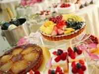 Stella dell’Angelo（ステラ･デル･アンジェロ）-0004の求人・転職情報