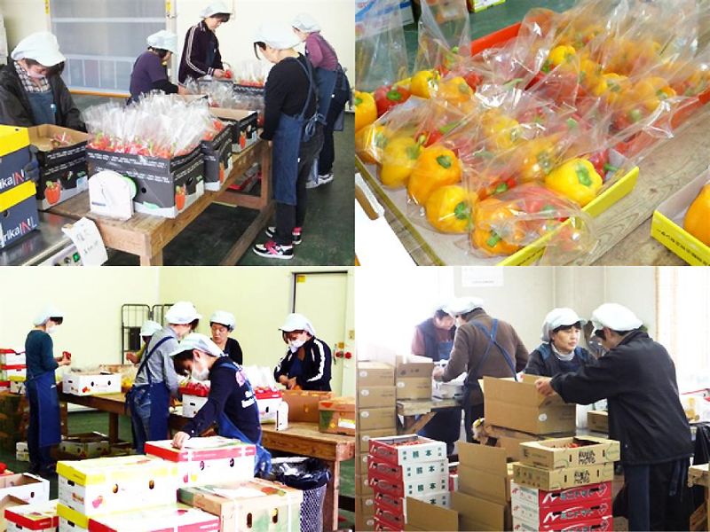 エムピーシー丸金運送有限会社のアルバイト・バイト求人情報-02