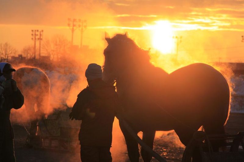 株式会社ばんえい競馬診療所　帯広競馬場のアルバイト・バイト求人情報-04