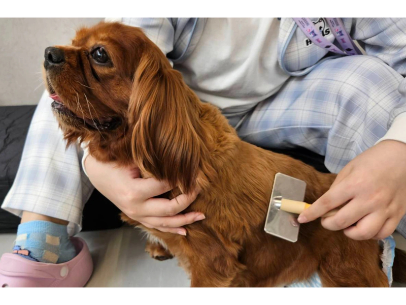 Ａネクストワークス株式会社の求人・転職情報