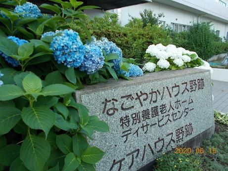 社会福祉法人なごや福祉施設協会　なごやかハウス野跡のアルバイト・バイト求人情報-04