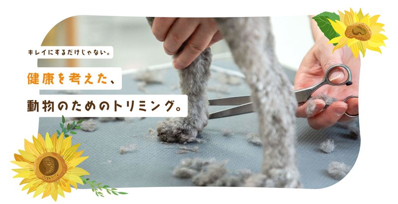 株式会社ひまわり動物病院の求人・転職情報
