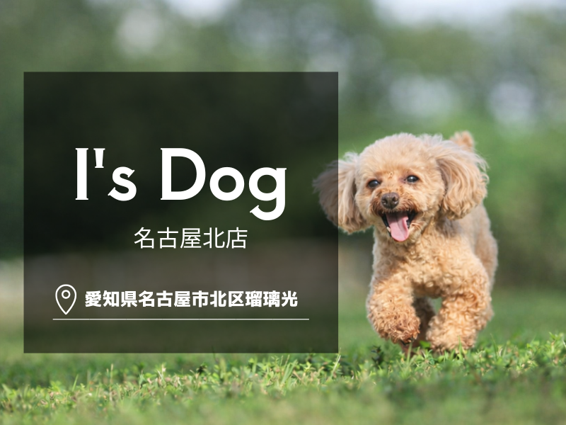 I's Dog 名古屋北店のアルバイト・バイト求人情報-07