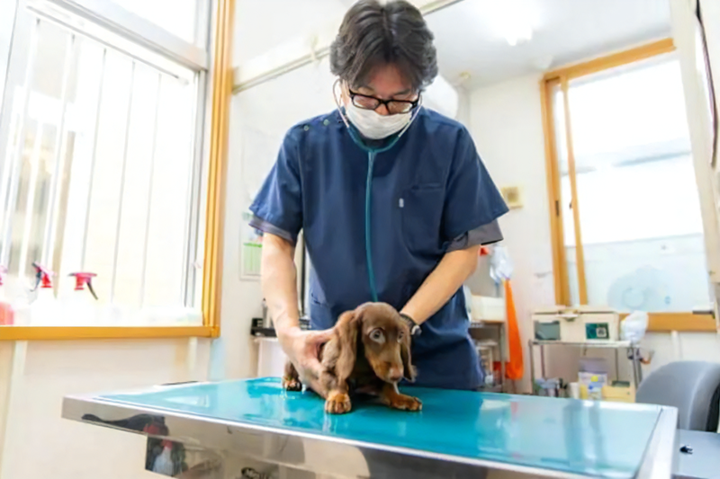 株式会社サンリキュールの求人・転職情報