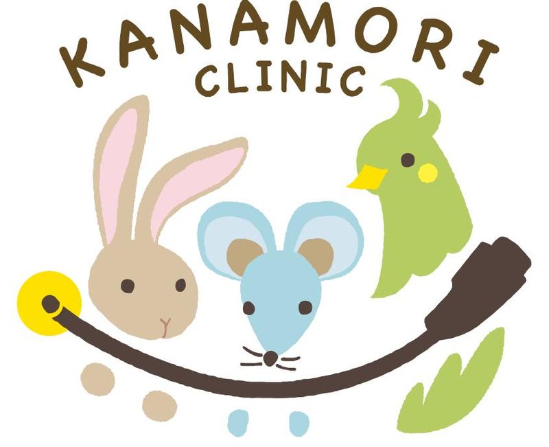 かなもり内科婦人科クリニックの求人・転職情報