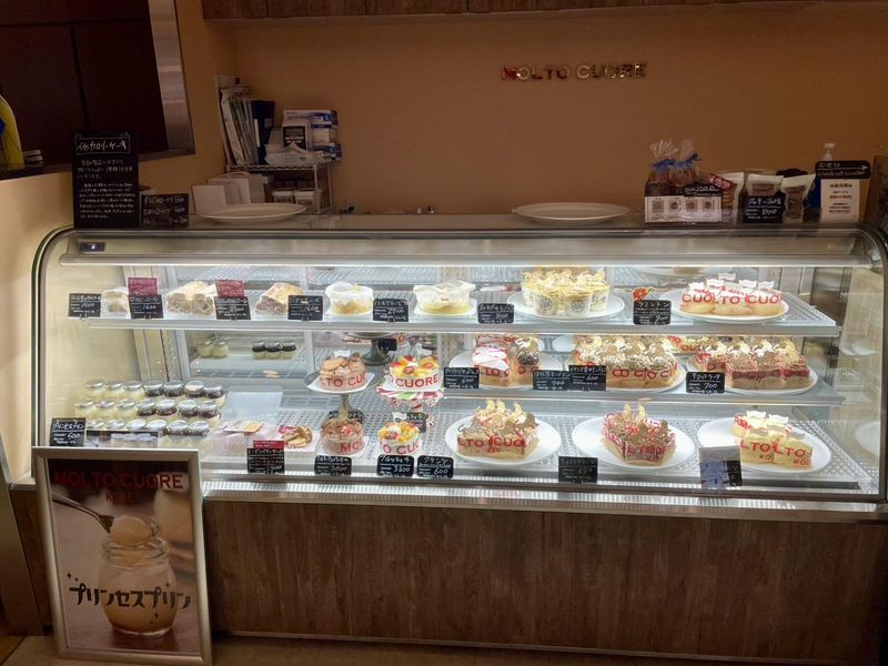 有限会社MOLTOCUOREの求人・転職情報