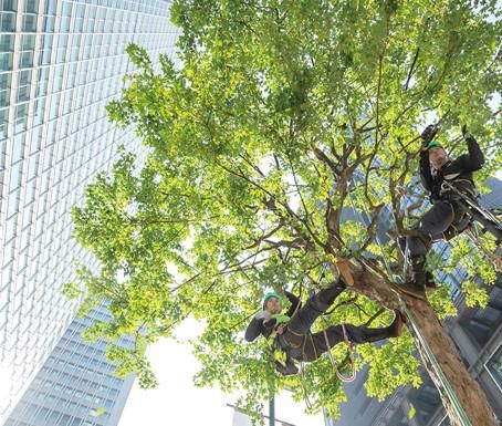 吉村造園株式会社　本社のアルバイト・バイト求人情報-01