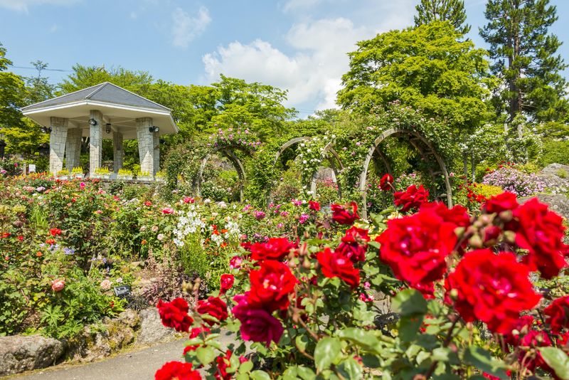 箱根強羅公園のアルバイト・バイト求人情報-02