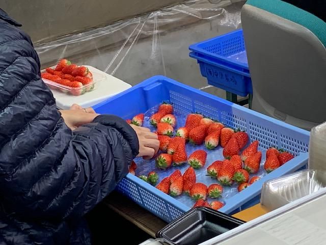 有限会社中原農場のアルバイト・バイト求人情報-02