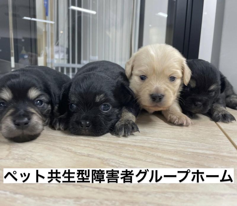 ティアハウス東静岡のアルバイト・バイト求人情報-02