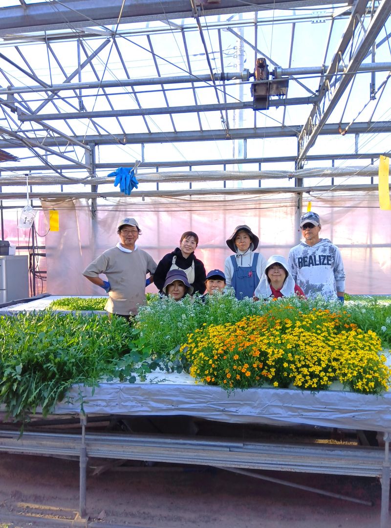 株式会社クレオの求人・転職情報