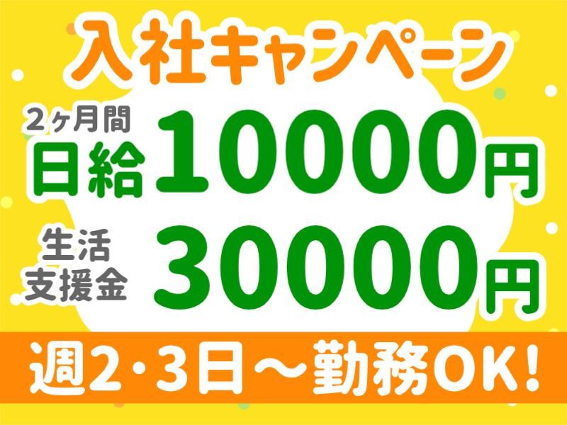 株式会社パルズパートナー