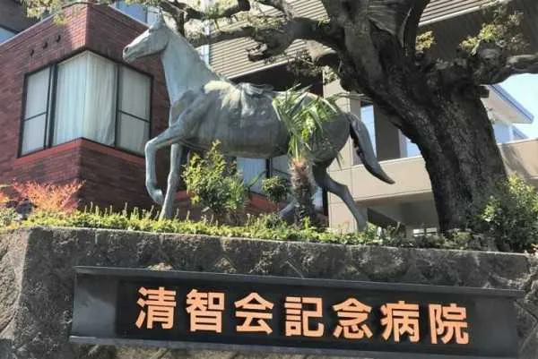 医療法人社団清智会 清智会記念病院の求人・転職情報