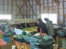 有限会社マルサ農産の求人・転職情報