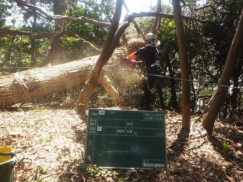 株式会社峯尾造庭園の求人・転職情報