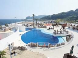 水族館「うみたまご」のアルバイト・バイト求人情報-03