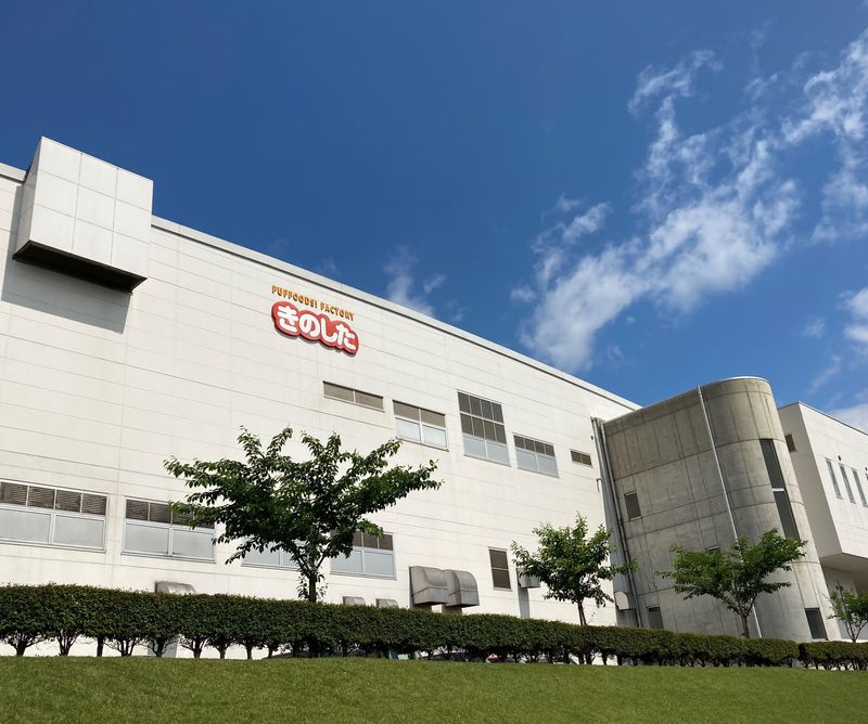 株式会社きのした