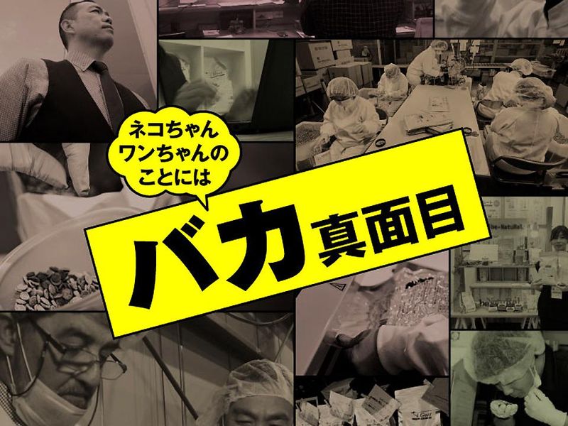 株式会社ビィ・ナチュラルのアルバイト・バイト求人情報-04