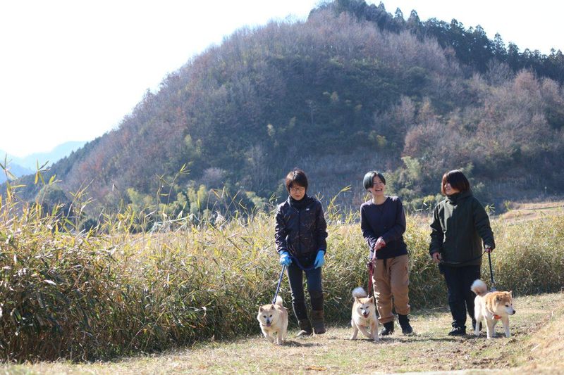 認定NPO法人アニマルレフュージ関西の求人・転職情報