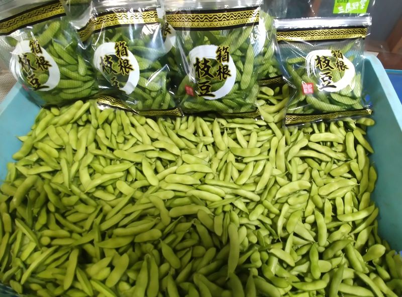 レタス･枝豆農園　髙木のアルバイト・バイト求人情報-03