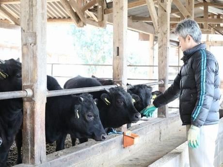松尾牧場の求人・転職情報