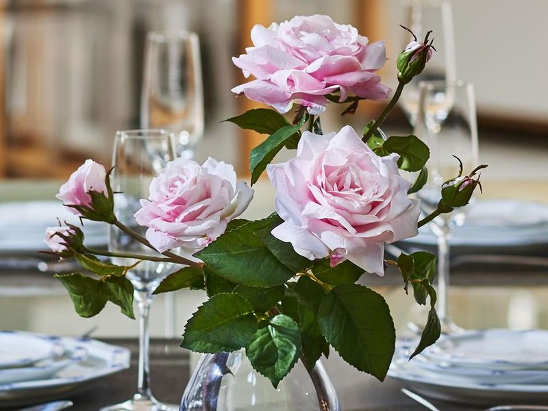 エミリオロバ フラワーベース 赤 造花付き アートフラワー