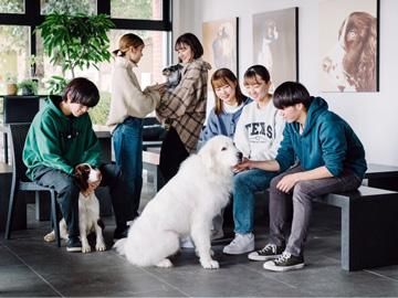 学校法人HAC国際学園　群馬動物専門学校のアルバイト・バイト求人情報-02