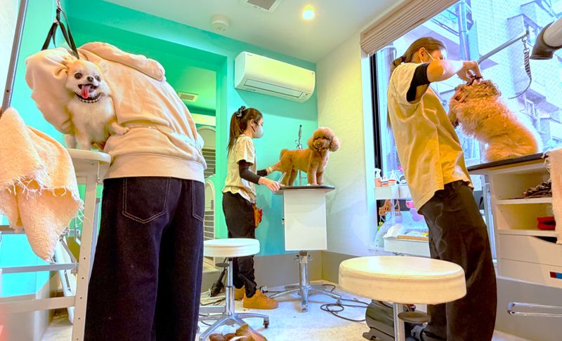 株式会社スカイブリッジの求人・転職情報