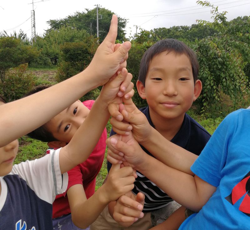 みこと株式会社の求人・転職情報