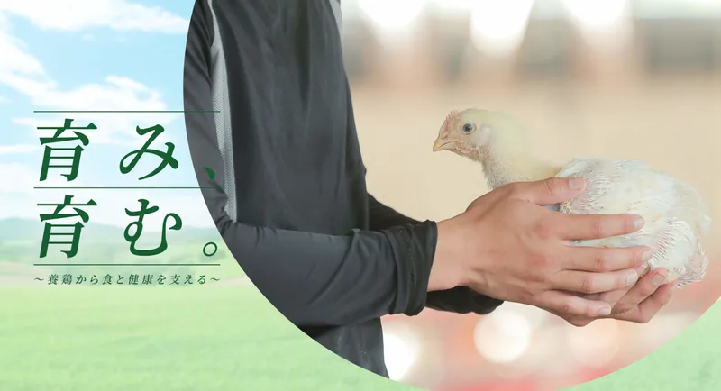 鳥3株式会社の求人・転職情報